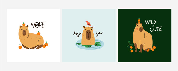 Cute capybara. Funny capibara, adorable exotic animal swimming, standing and sitting. South America mammal relaxing, lettering phrase, print or poster. Cartoon flat isolated vector set