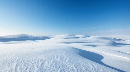 Pristine snow covers the tundra to the horizon under a clear blue sky.