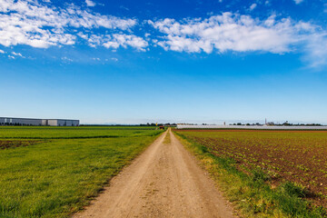 View over the fields in Inningen near Augsburg to the Alps