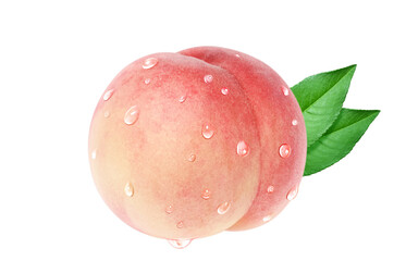 桃 イラスト リアル 白バック