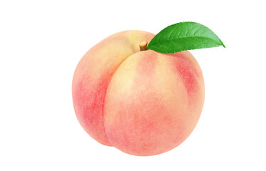 桃 イラスト リアル 白バック