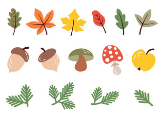 Autumn design elements, icons. Set of autumn object in cartoon flat style. Foliage, acorn, mushroom, fly agaric, fir branch