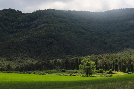 Paisaje de monta&ntilde;a y prado verde en primavera