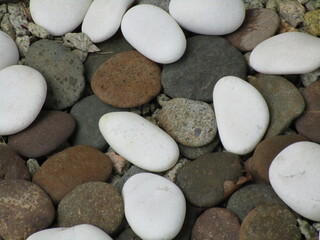 closeup white water polished stones in a random pattern on top of gray, brown and black stones