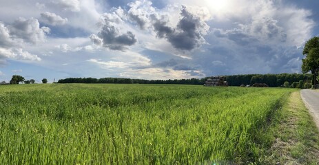 Panoramic view of a countryside landscape just before a thunderstorm