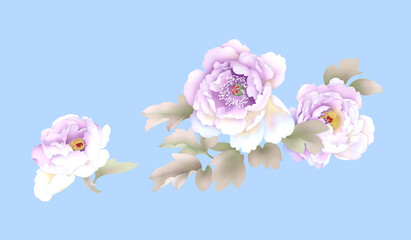 beautiful flower image pattern 