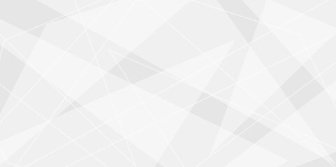 Fototapeta premium Abstract elegant background white and gray triangle texture. Abstract white and grey geometric overlapping line pattern abstract futuristic background design. data concept. vector illustration.