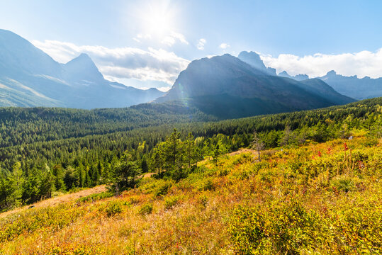 Evening Above Forested Valley