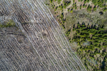 Birds eye view of a felling. Lots of dead trees, desolace and environmental problems.