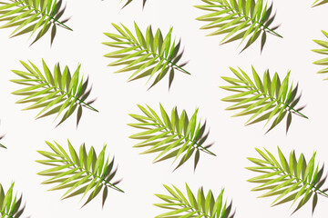Tropical leaves pattern, summer holidays background.