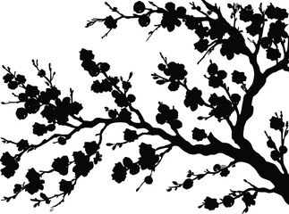 blossoming apple tree branch silhouette on white