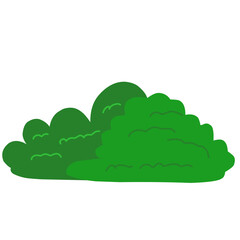 Obraz premium Bush vector illustration 