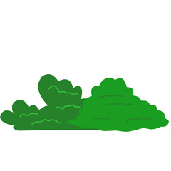 Bush vector illustration 