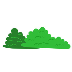 Bush vector illustration 