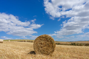 Hay bales rolled up in a scenic Alentejo field under a cloudy afternoon sky, Portugal. Serene rural...