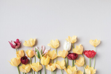 Beautiful aesthetic tulip flowers on neutral beige background top view. Floral border for greeting...