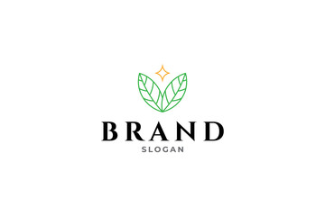 natural leaf logo with star above in line art design style
