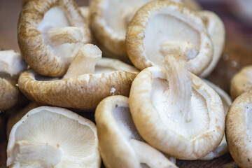 Fresh shitake or shiitake mushrooms (Lentinula edodes) in selective focus and fine details