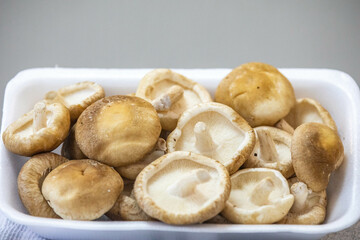 Fresh shitake or shiitake mushrooms (Lentinula edodes) in selective focus and fine details