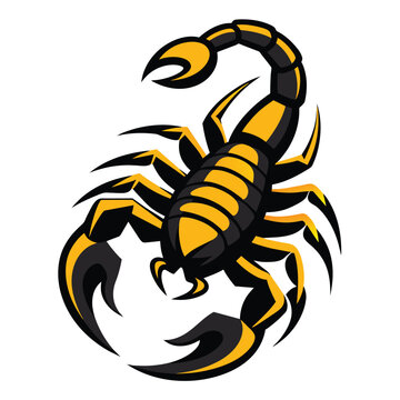 recommend clip art: scorpion vector art illustration