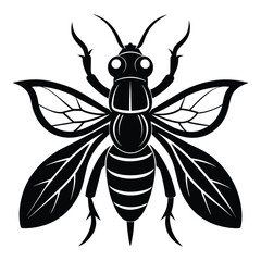 insect black icon on white background