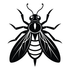 insect black icon on white background