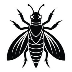 insect black icon on white background