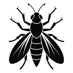 insect black icon on white background