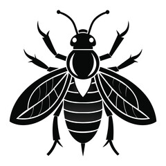 insect black icon on white background