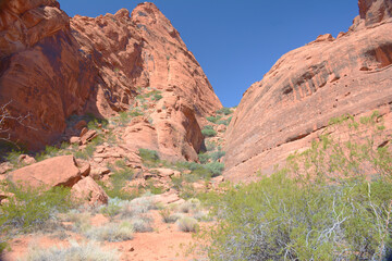 Fototapeta premium Sunny Jenny Canyon Vista - Snow Canyon State Park