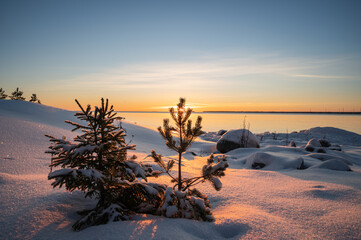 Panoramic sunset through the horizon. Winter wonderland scenery in scenic golden evening light at...