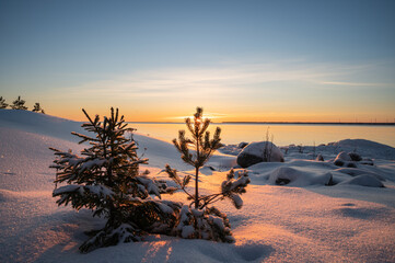 Panoramic sunset through the horizon. Winter wonderland scenery in scenic golden evening light at sunset