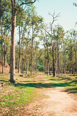 Fototapeta premium autumn in the park