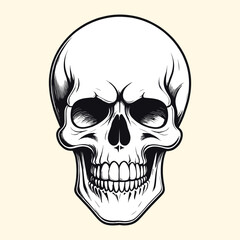 Hand Drawn Skull Illustration Line Drawing