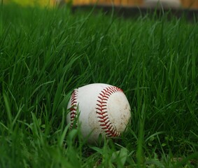 baseball on grass