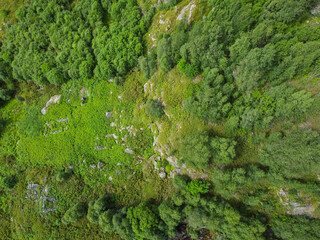 Drone photo. Top view of the green trees of the Norwegian mountains.