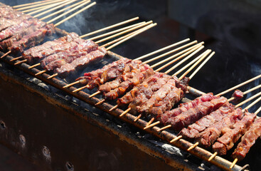 meat skewers called ARROSTICINI  typical of the cuisine of Southern Central Italy in the Abbruzzo and Molise regions