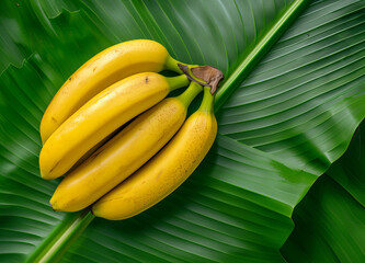 Yellow banana bunches arranged on fresh green banana leaf. Banana (Musaceae) is loaded with many nutrients that help to give you a healthy looking skin
