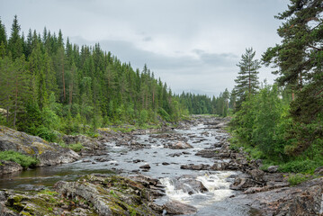 Norwegian River at the Small Waterfall Section