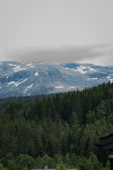 beautiful landscape with a Norwegian mountain peak with snow on it and green conifers below