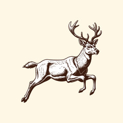 Reindeer Running Illustration Hand Drawn Engraved Style Deer