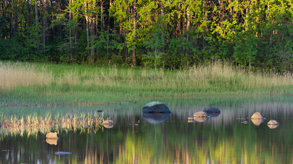 Landscape in early morning light with calm water, rocks  and woodland background