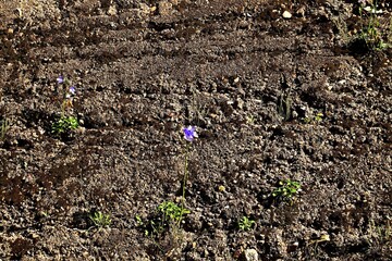 Fine blue colors on the stone surface of a sheer cliff