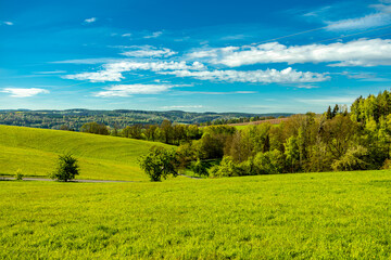 Fototapeta premium Eine früh morgendliche Wanderung rund um die Stadt Schmalkalden mit ihrer wunderschönen Landschaft - Thüringen - Deutschland