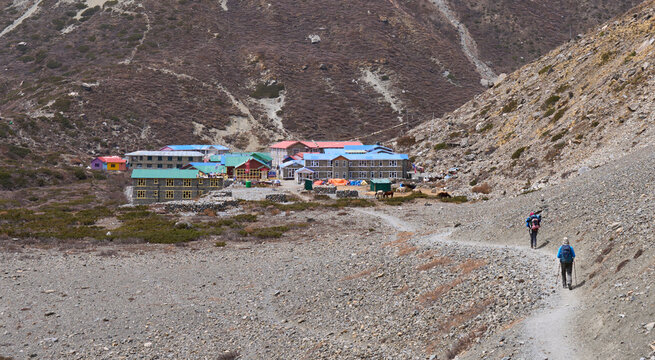 A small high altitude village Tilicho Base Camp, the last village on the way to the Tilicho Lake, Annapurna Conservation Area, Nepal. Colored roofs of lodges. Tourists in a hiking trail.
