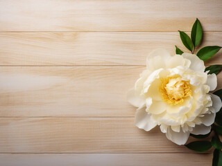 A solitary beige-white peony rests on weathered yellow wood, a textured background