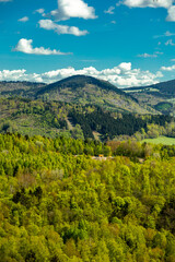 Fototapeta premium Eine früh morgendliche Wanderung rund um die Stadt Schmalkalden mit ihrer wunderschönen Landschaft - Thüringen - Deutschland