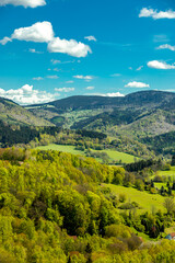 Eine früh morgendliche Wanderung rund um die Stadt Schmalkalden mit ihrer wunderschönen Landschaft - Thüringen - Deutschland