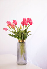 Morning minimalistic bouquet of pink tulips in glass vase on white background. Home comfort concept. Concept for International Women's Day March 8th. Vertical.