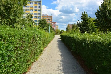 A sidewalk near hedges , residential buildings in the distance